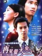 再見(jiàn)螢火蟲(chóng)劇情介紹(1-13全集)